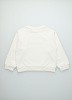 TNSBASICSWEATERBACK_1!