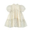 S24DR00927 Paola Dress Front (1)!