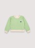 CAMPTONSWEATER_MATCHAGREEN!