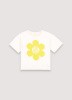 ! CALABASASTEEOFFWHITE (1)!